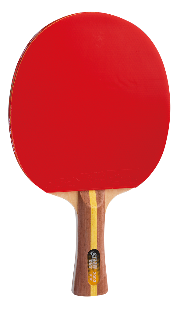 DHS Fertigschläger H2002 - DXES017-1