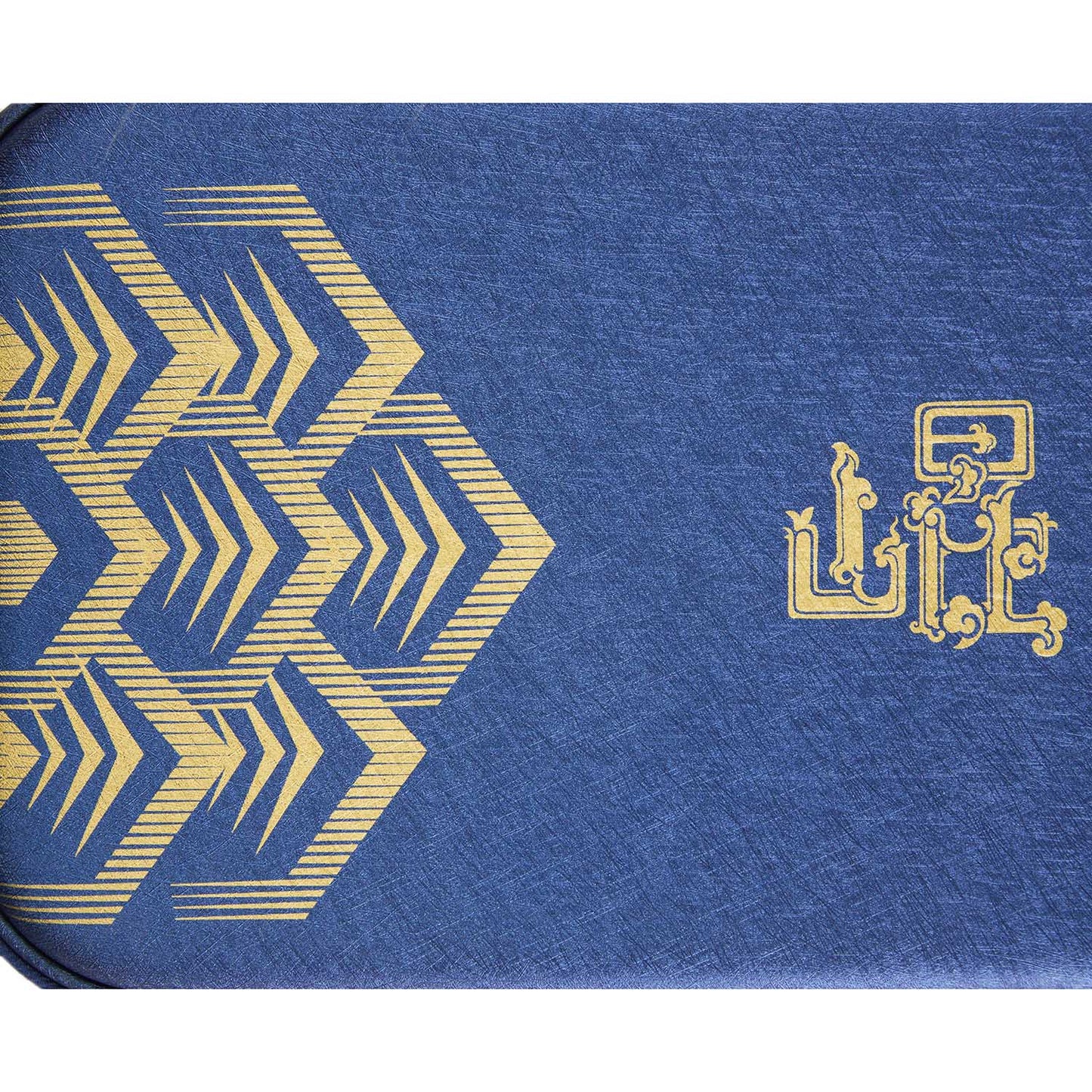 Tischtennis Liang Jingkun Schlägerhülle National Team 2025 dunkelblau - ABJU033-5