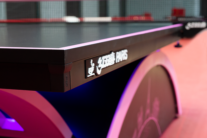 DHS PARIS RAINBOW TT TABLE 25MM