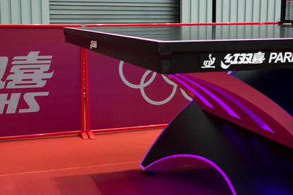 DHS PARIS RAINBOW TT TABLE 25MM