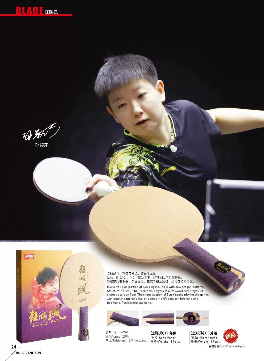 DHS Hurricane Sun Yingsha Holz (FL) - DXCT005-1