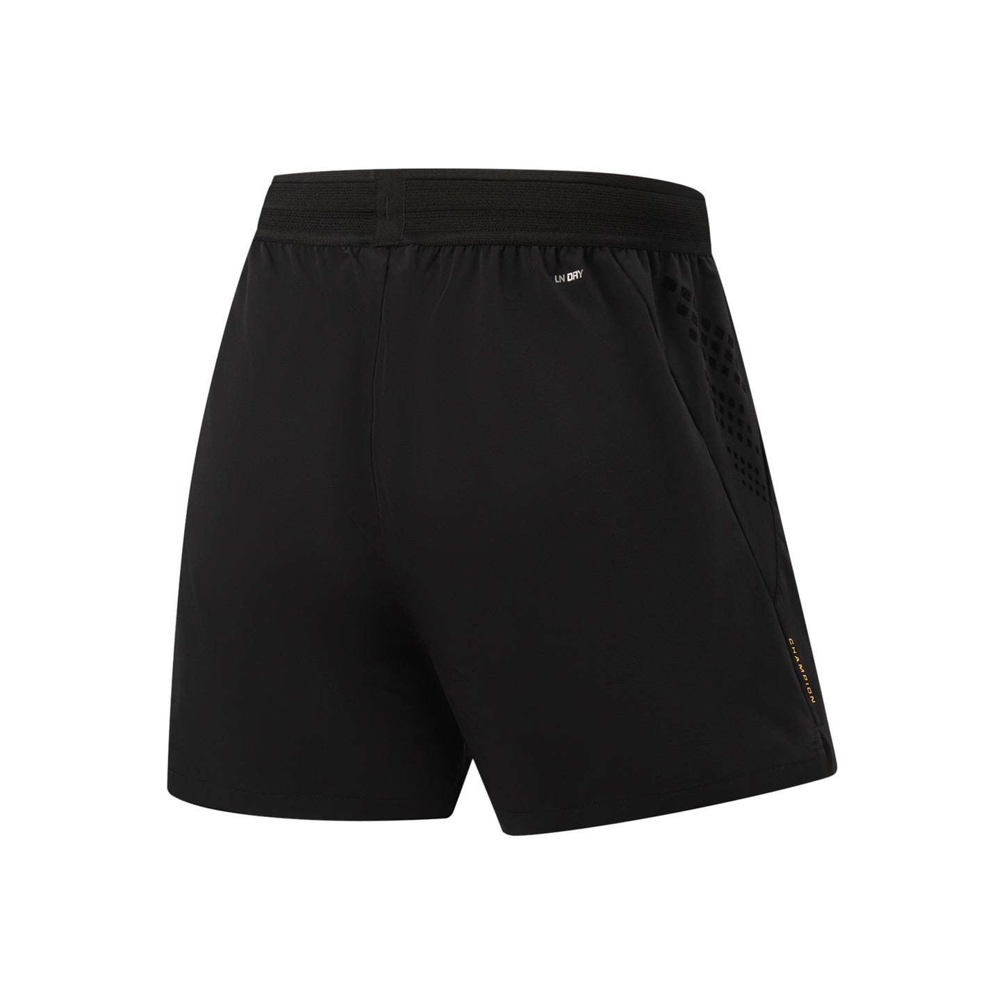 Tischtennis Shorts Shadow Dragon - schwarz - AAPW011-1