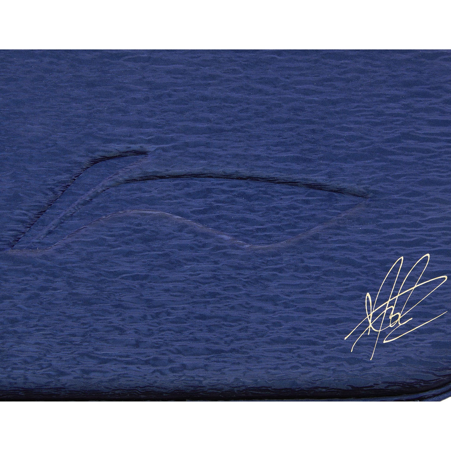 Tischtennis Lin Gaoyuan Schlägerhülle National Team 2025 dunkelblau - ABJU033-4