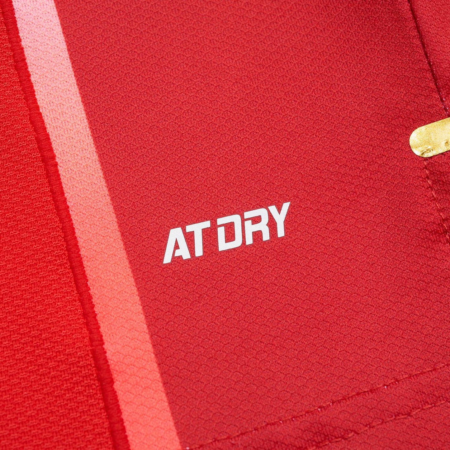 Table Tennis Men's National Team Competition Jersey Cyber ​​- red - AAYT029-2