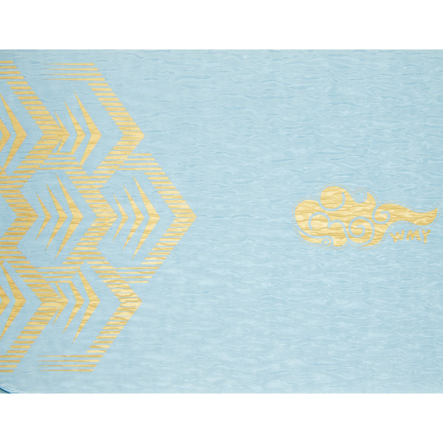 Tischtennis Wang Manyu Schlägerhülle National Team 2025 hellblau - ABJU033-3